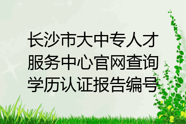 长沙市大中专人才服务中心官网查询学历认证报告编号