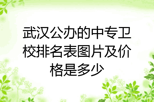 武汉公办的中专卫校排名表图片及价格是多少