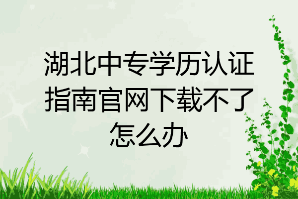 湖北中专学历认证指南官网下载不了怎么办