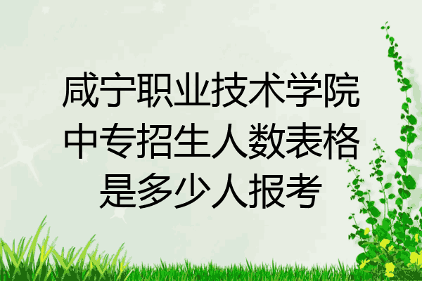 咸宁职业技术学院中专招生人数表格是多少人报考