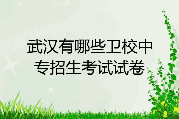 武汉有哪些卫校中专招生考试试卷