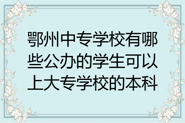 鄂州中专学校有哪些公办的学生可以上大专学校的本科