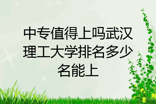 中专值得上吗武汉理工大学排名多少名能上