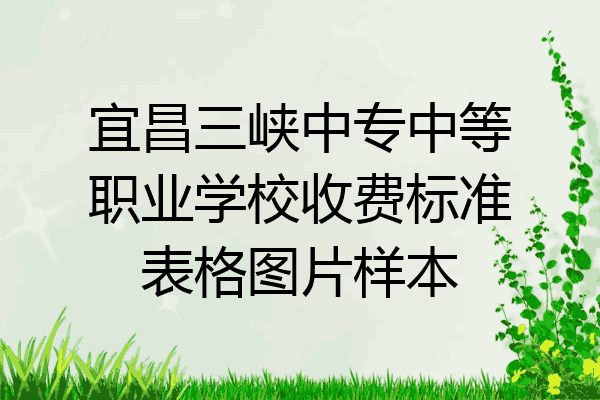 宜昌三峡中专中等职业学校收费标准表格图片样本