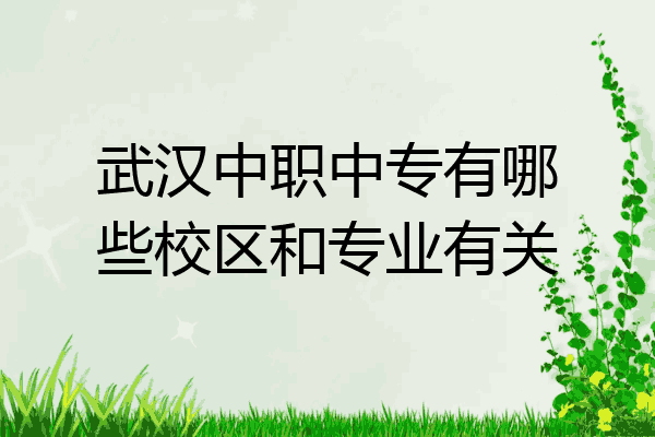 武汉中职中专有哪些校区和专业有关
