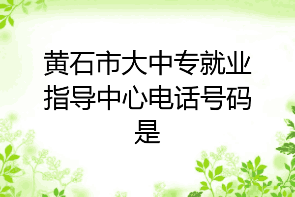 黄石市大中专就业指导中心电话号码是