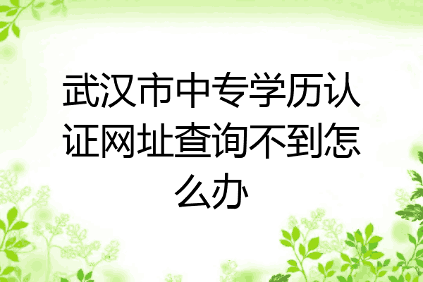 武汉市中专学历认证网址查询不到怎么办