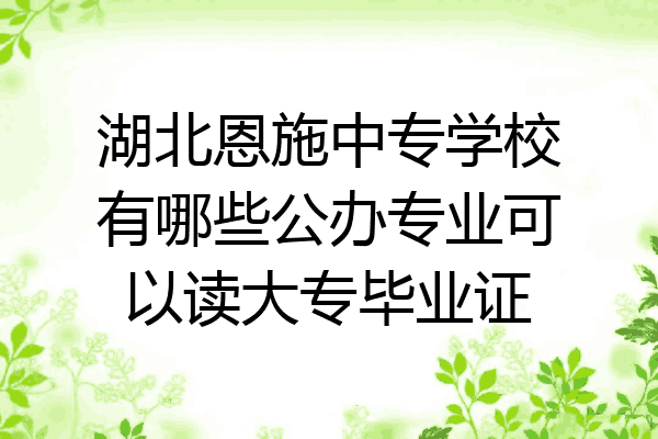 湖北恩施中专学校有哪些公办专业可以读大专毕业证