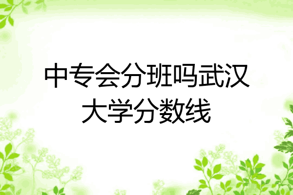 中专会分班吗武汉大学分数线