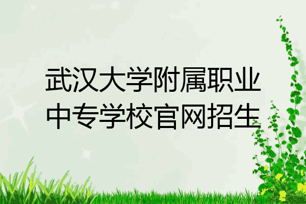 武汉大学附属职业中专学校官网招生