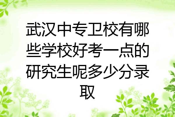 武汉中专卫校有哪些学校好考一点的研究生呢多少分录取