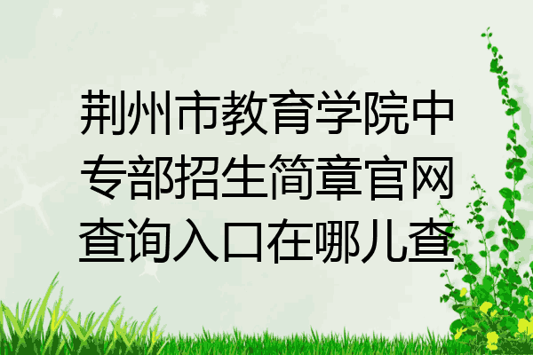 荆州市教育学院中专部招生简章官网查询入口在哪儿查