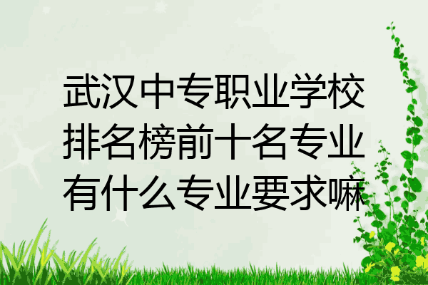 武汉中专职业学校排名榜前十名专业有什么专业要求嘛