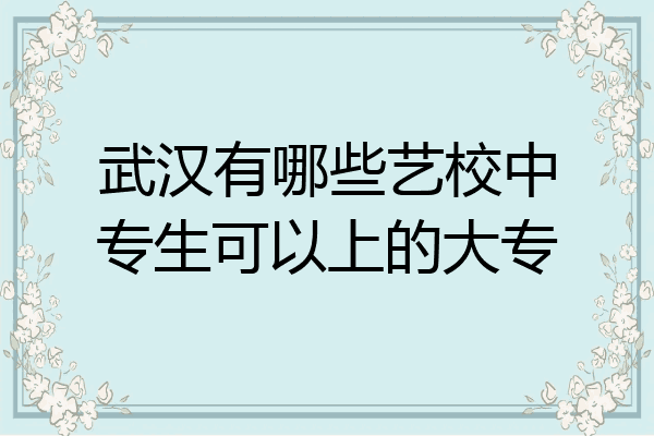 武汉有哪些艺校中专生可以上的大专