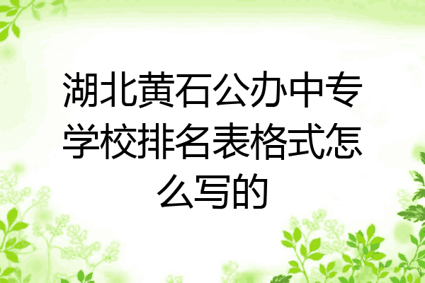 湖北黄石公办中专学校排名表格式怎么写的