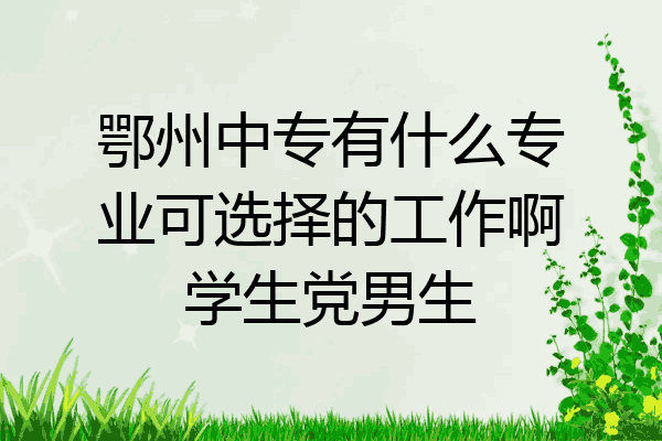 鄂州中专有什么专业可选择的工作啊学生党男生