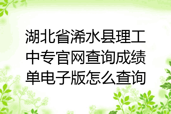 湖北省浠水县理工中专官网查询成绩单电子版怎么查询