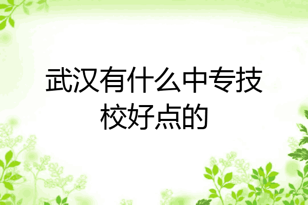 武汉有什么中专技校好点的