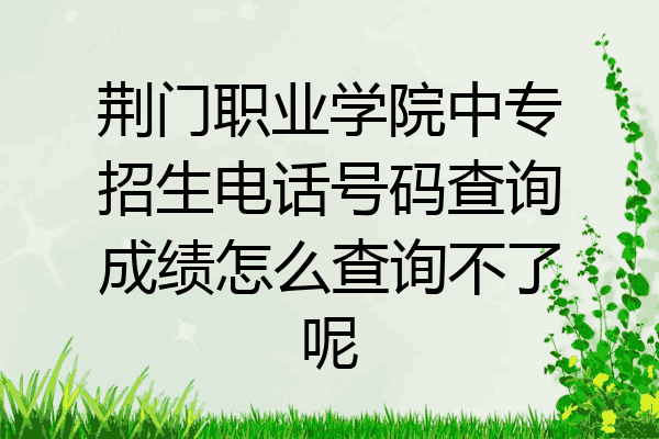荆门职业学院中专招生电话号码查询成绩怎么查询不了呢
