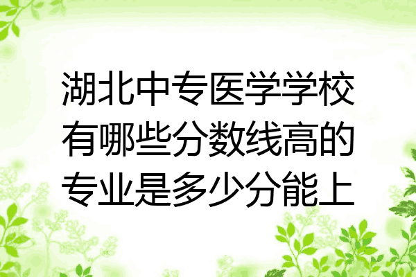 湖北中专医学学校有哪些分数线高的专业是多少分能上