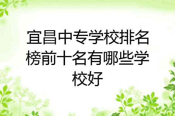 宜昌中专学校排名榜前十名有哪些学校好