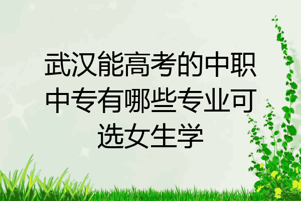 武汉能高考的中职中专有哪些专业可选女生学