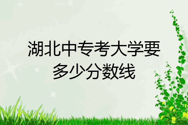 湖北中专考大学要多少分数线