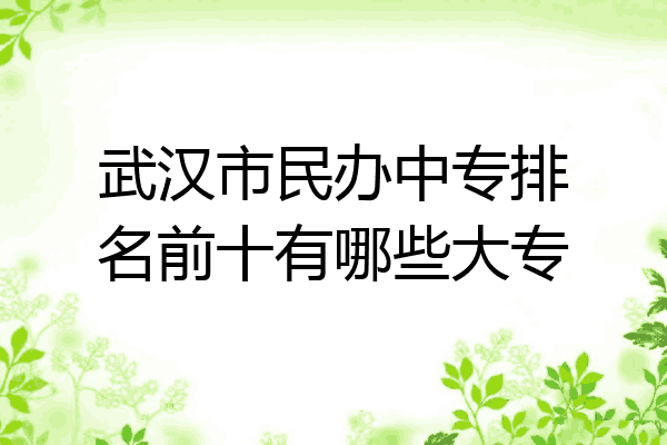 武汉市民办中专排名前十有哪些大专