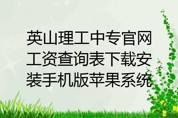 英山理工中专官网工资查询表下载安装手机版苹果系统
