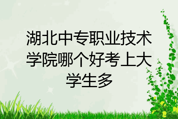 湖北中专职业技术学院哪个好考上大学生多