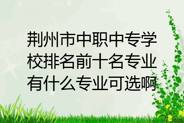 荆州市中职中专学校排名前十名专业有什么专业可选啊