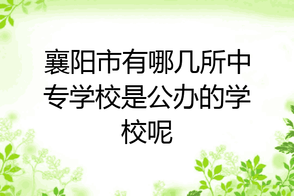 襄阳市有哪几所中专学校是公办的学校呢
