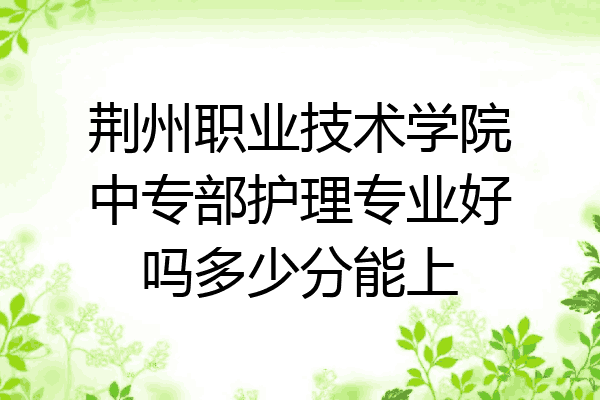 荆州职业技术学院中专部护理专业好吗多少分能上