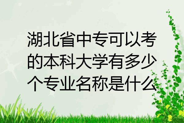 湖北省中专可以考的本科大学有多少个专业名称是什么