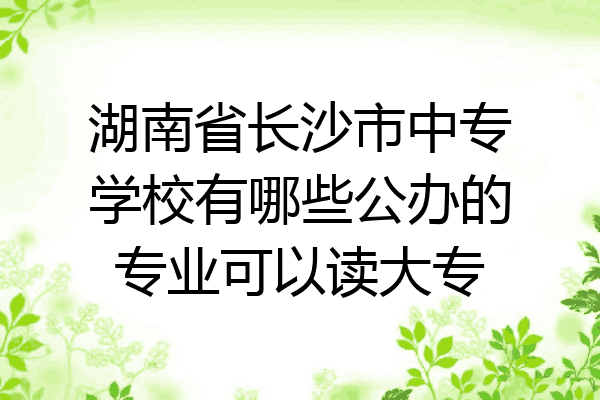 湖南省长沙市中专学校有哪些公办的专业可以读大专
