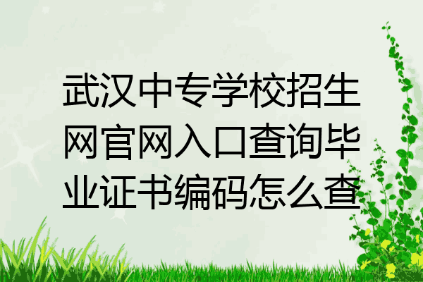 武汉中专学校招生网官网入口查询毕业证书编码怎么查