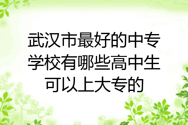 武汉市最好的中专学校有哪些高中生可以上大专的