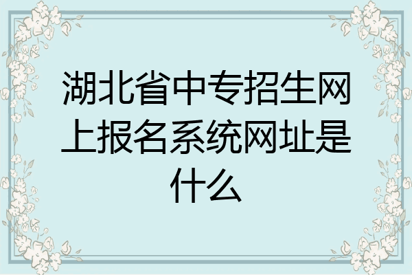 湖北省中专招生网上报名系统网址是什么