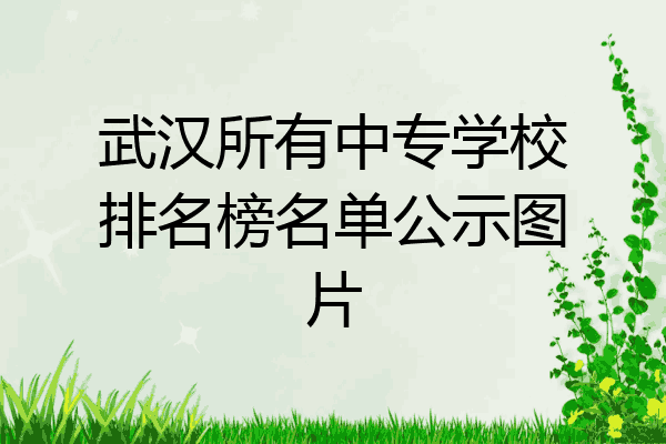 武汉所有中专学校排名榜名单公示图片