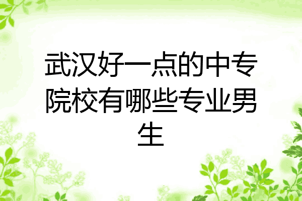 武汉好一点的中专院校有哪些专业男生