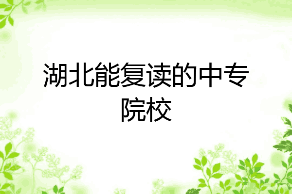 湖北能复读的中专院校