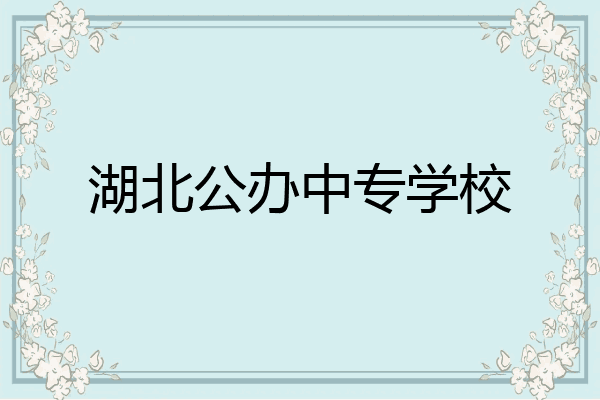湖北公办中专学校