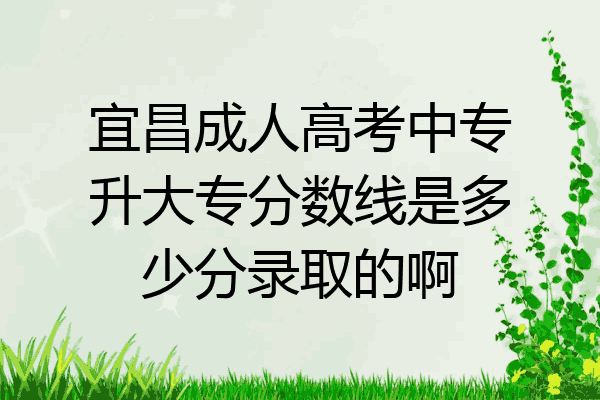 宜昌成人高考中专升大专分数线是多少分录取的啊