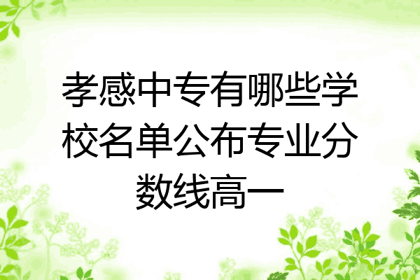 孝感中专有哪些学校名单公布专业分数线高一