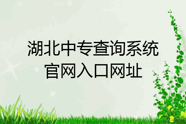 湖北中专查询系统官网入口网址