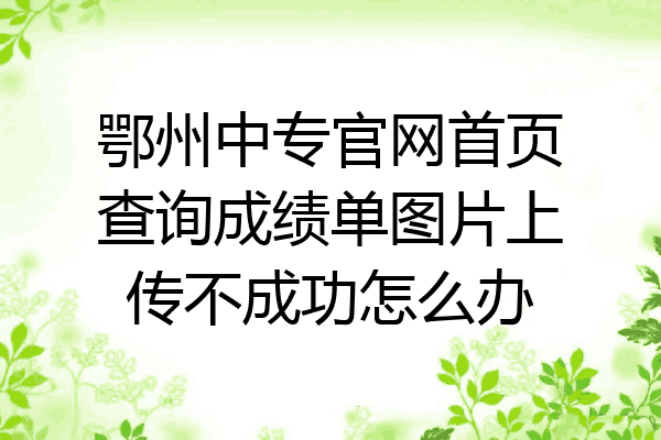 鄂州中专官网首页查询成绩单图片上传不成功怎么办