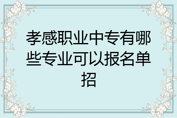 孝感职业中专有哪些专业可以报名单招