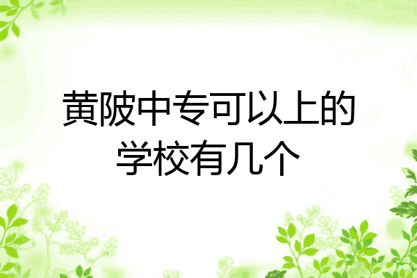 黄陂中专可以上的学校有几个