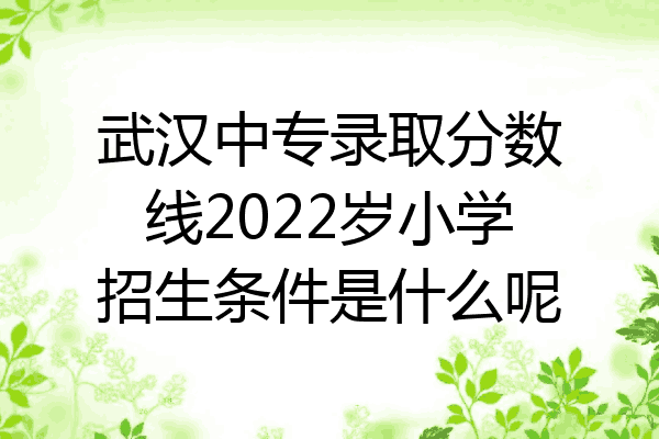 武汉中专录取分数线2022岁小学招生条件是什么呢