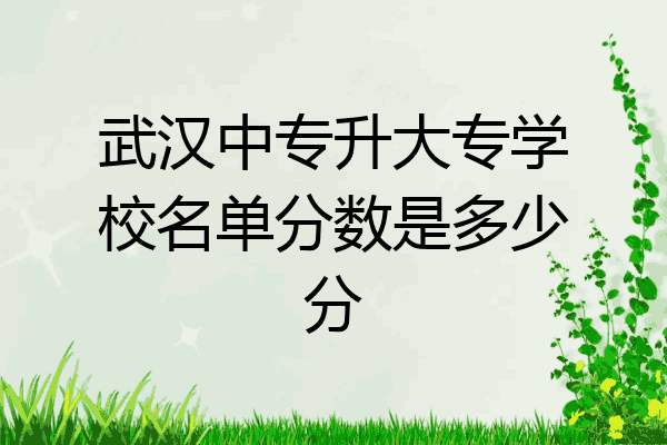 武汉中专升大专学校名单分数是多少分